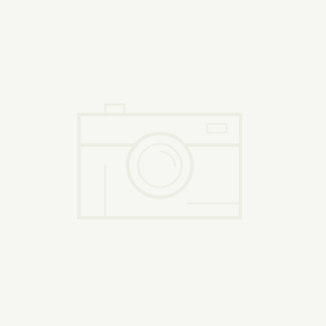 VIS & LOGO
